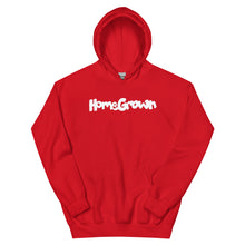 Load image into Gallery viewer, HG Graffiti °90 Logo Hoodie